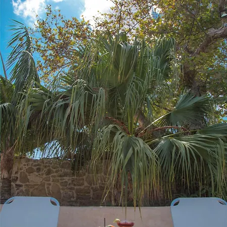 Metohi Sitia Holiday home