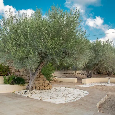 Metohi Sitia Holiday home Piskokefalo